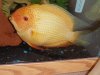 DSC00054.JPG