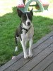 June 2010 024.JPG