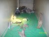 100_0243.JPG