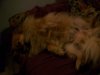 100_1705.JPG