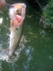 IMG_1823.JPG