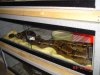 DSC01053.JPG