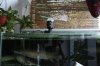 IMG_2325.JPG IMG_2325.JPG