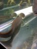 eel tube.JPG