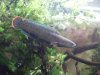 DSCF1649.jpg