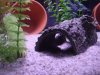 DSC07483.JPG