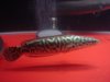 Silver aro & tankmaks video 4mins 002.jpg