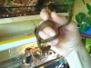 1308201010484 [640x480].jpg