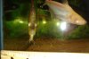 DSC00751.JPG