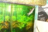 DSC01408.JPG