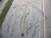 DSCN5376.JPG
