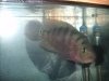 Picture 1457.jpg Picture 1457.jpg