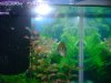 DSC05236.JPG