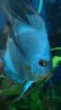 DSC01077.JPG