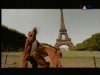 bloodhoundgangthebadtouch00200.jpg
