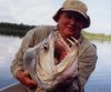 payaraHydrolycus_armatusUP.jpg