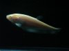 DSC03685.JPG