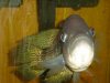 fishy 065.jpg