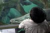 ShangHaiAquarium_0047.JPG