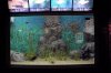 ShangHaiAquarium_0100.JPG