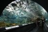 ShangHaiAquarium_0155.JPG