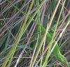 DSCN0585.JPG