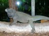 DSCN1110.JPG