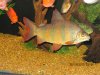IMG_0137.JPG