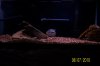 100_2583.JPG