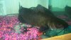 100_2771.JPG