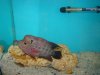 DSC04669.JPG