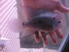 DSC01761.JPG