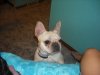 DSCN0360.JPG