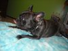 DSCN0358.JPG