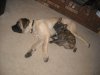 DSCN0277.JPG