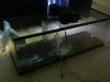 photo 4 (2).JPG