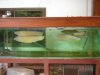 DSC08775.JPG