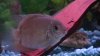 Picture 022.JPG