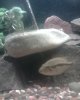 Moncho by his cave.jpg