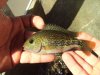 DSC01333.JPG