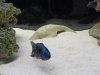 SDC12239.JPG