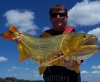 dorado-salto.jpg