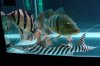 DSC05305.JPG
