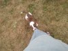 MOOSE 014.jpg