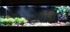 sept2010tank.jpg