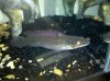 IMG_20100902_183220.jpg
