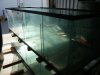10 foot tank for sale 003 (Small).jpg