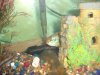 2010-07-22 128.jpg 2010-07-22 128.jpg