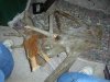 Camera 065.jpg