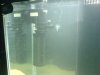 DSC00275.JPG